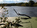 Crabtree Nature Center - Lake