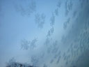 Snowflakes on the windshield - Nikon Coolpix 2100